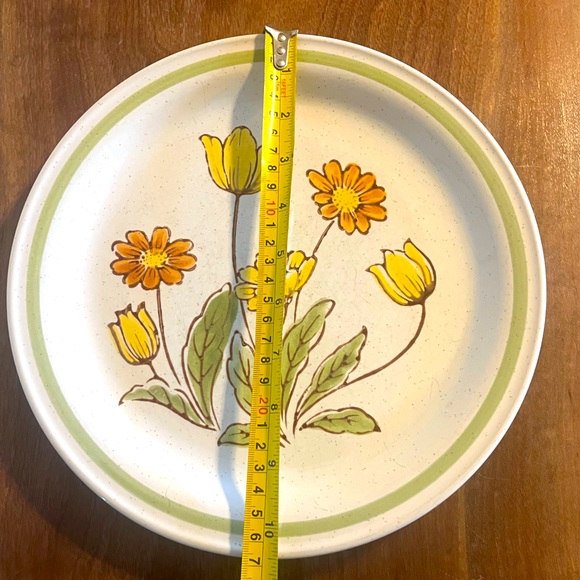 Two Vintage Country Casual Stoneware Sunnyvale 10 1/2" Dinner Plates Japan - Picture 4 of 6